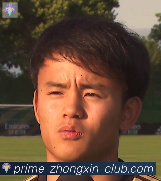 维尼修斯